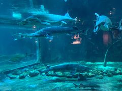 -华夏文旅海洋公园