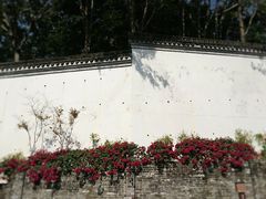 -九龙公园