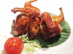 红烧乳鸽-東海海鲜酒家(中信广场店)