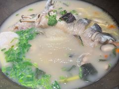江团鱼-滇色蒸汽石锅鱼(京华城店)
