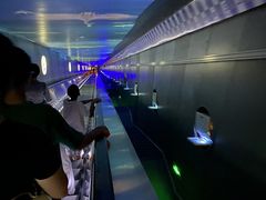 -白鹤梁水下博物馆