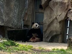 -宁波野生动物园