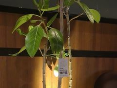 -西堤牛排(南京龙江店)