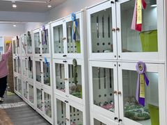 -青奢宠物·青奢猫舍