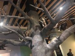 -青藏高原自然博物馆
