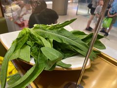 -海底捞火锅(金光华店)