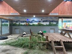 -西安秦岭野生动物园