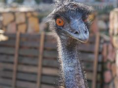 -金庭庄园酒店-停车场