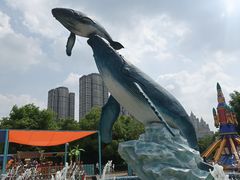 -海合安武汉极地海洋公园