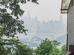 -南山植物园