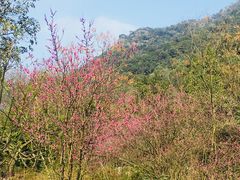 -黄公望隐居地