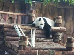 -泉州海丝野生动物世界