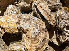 -蚝堡海鲜·威海菜·海肠捞饭·烧烤·亚洲吃蚝公司(幸福门店)