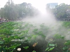 -四川大学(望江校区)
