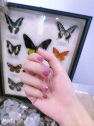 -StartNail美甲
