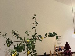 -肥朵食堂(带梦胡同店)