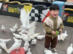 -成都欢乐谷