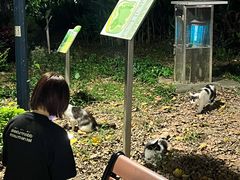 -九龙公园