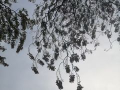 -红星桥(地铁站)