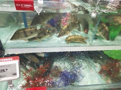 -盒马鲜生(新都心店)