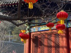 -红螺寺