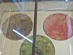 -谭三娘鲜切牛肉自助火锅(文殊院店)
