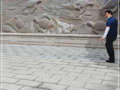 -广东惠东海龟国家级自然保护区