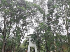 -云南民族村