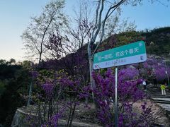 -天台山赤城山景区