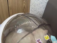 -半岛宠物医院24小时(科华中路店)