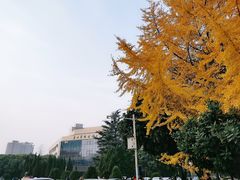 -西南交通大学(九里校区)