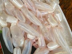 -章记正宗南岗鱼蛋火锅