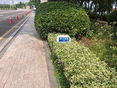 -太湖湖滨国家湿地公园-停车场