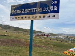 -祁连山草原