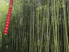 -竹泉村旅游度假区