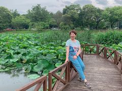 -美兰湖景区