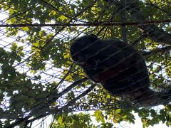 -苏州太湖西山岛开心农场