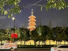 -龙华素斋(龙华路店)