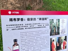 -中国科学院西双版纳热带植物园
