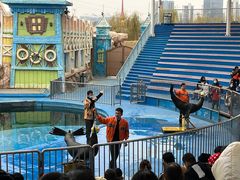 -华夏文旅海洋公园