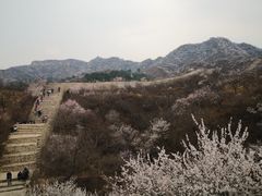 -龙泉峪长城