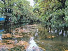 -西溪南古村落景区