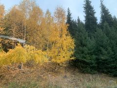 -天山天池风景区-西王母祖庙