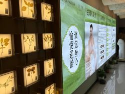 -阅年轻·AI家庭健康体质调理