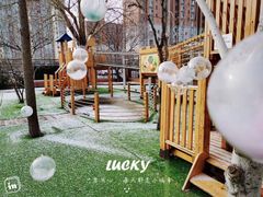 -吉而慧幼儿园-原红黄蓝幼儿园(世华水岸园)