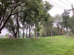 -玉泉公园