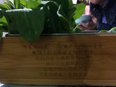 -卢大鲜鱼头捞饭(美利广场店)