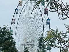 -飞来湖湿地公园