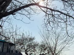 -糖房咖啡(南锣鼓巷店)