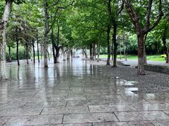 -汉长安城未央宫国家考古遗址公园